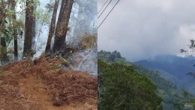 El incendió en el Parque Nacional Cusuco se reactivó este martes.