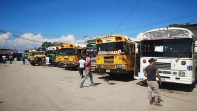 Servicio. Las unidades de transporte de las rutas de Colón y Yoro paralizaron sus labores ayer.