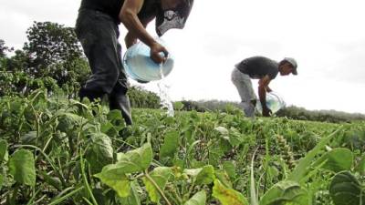 EUA apoyará con $10 millones para compensar efectos de la sequía.