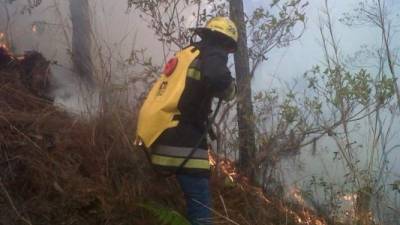 En la reserva forestal de La Laborcita, municipio de Sinuapa en el departamento de Ocotepeque se registra el incendio.