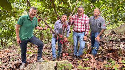 El proyecto, que beneficiará a decenas de productores de cacao, es impulsado por la empresa Chocolats Halba.