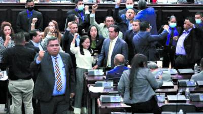 <b>El pleno del Congreso Nacional está paralizado desde finales de octubre.</b>