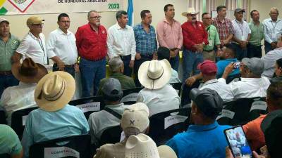 Denuncian intromisión del gobierno en la elección y por ello la asamblea paralela en Siguatepeque.