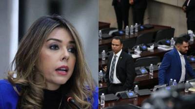 Viral en redes sociales se han vuelto las declaraciones de la diputada nacionalista María Antonieta Mejía.