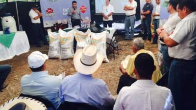 Los productores de leche en una reunión con Lácteos de Sula en Quimistán.