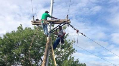 Cuadrillas de la Enee trabajarán en mantenimiento de circuitos en la zona norte y occidente.