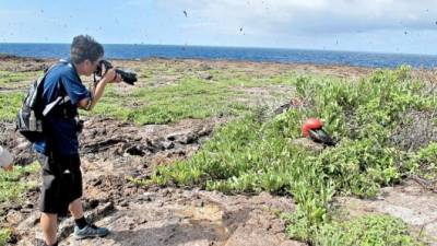 Las Islas Galápagos, una meca para los apasionados de la biología.