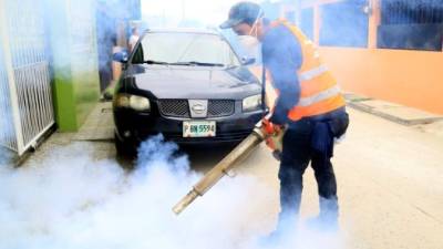 Las autoridades sanitarias continúan con los trabajos para eliminar los criaderos del zancudo.