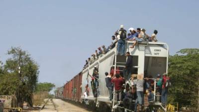 Inmigrantes subidos en el tren llamado la Bestia, del cual caen muchos y sufren accidentes.