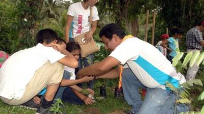 Los jóvenes con maestros siembran árboles.
