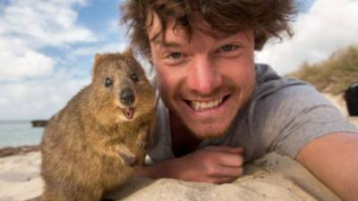 El pequeño animal se ha vuelto el atractivo turístico de su isla.