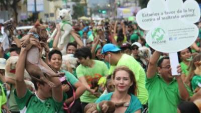 En la primera calle de San Pedro Sula los sampedranos elevaron su voz y sus mascotas contra el maltrato animal.