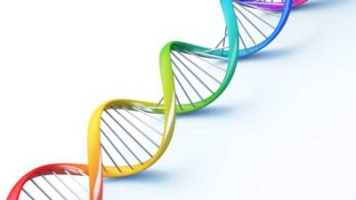 El ADN juega un papel en el cáncer de seno.