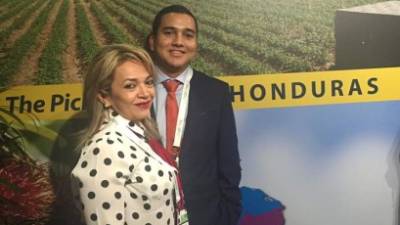 Las autoridades de la Secretaría de Agricultura y Ganadería (SAG) esperan que la temporada 2015-2016 de okra deje unos $20 millones por concepto de exportación.