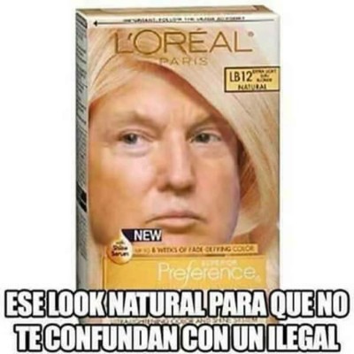 Los memes del triunfo de Donald Trump en las elecciones de Estados Unidos