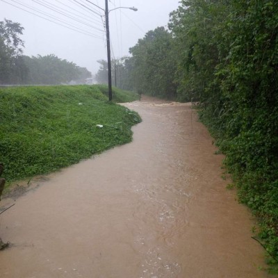 Lluvias dejan varios damnificados en Tela y Trujillo