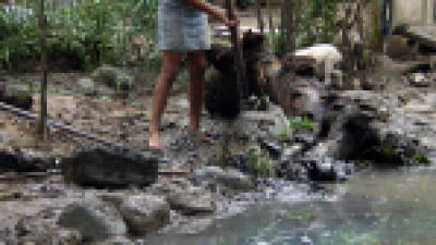 Los vecinos que no tienen alcantarillado tiran las aguas a las cunetas.