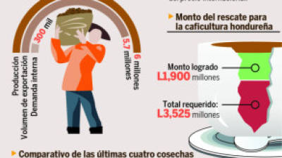 En el gráfico se incluye el panorama de la cosecha de café 2013-2014 y un histórico de años anteriores.