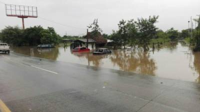 Foto: La Prensa