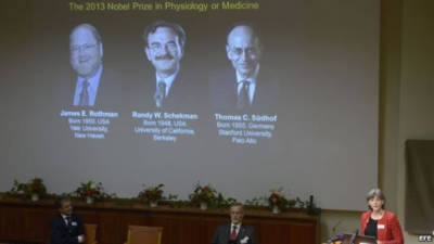 El Premio Nobel de Medicina 2013 fue otorgado el lunes a dos estadounidenses, Randy Schekman y James Rothman, y al alemán Thomas Südhof.
