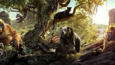 El personaje de Mowgli es lo único real de la película; los animales y las imágenes de la selva están creadas con técnicas de animación digital fotorrealista.