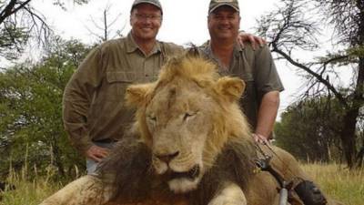 El doctor Palmer, a la izquierda, posa con un león que cazó en Africa.