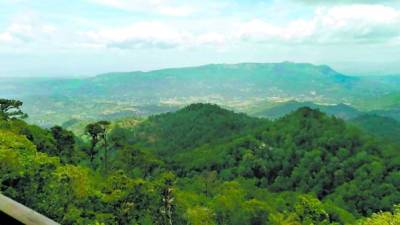 La montaña La Botija tiene una extensión de 191 kilómetros cuadrados, y es parte de la Biósfera de San Marcos de Colón.