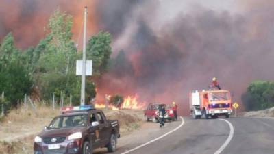 Los bomberos se efuerzan por controlar las llamas, pero hay más de un centenar de incendios ardiendo en distintas zonas del estado.