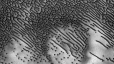 Esta imagen de oscuras dunas en Marte fue tomada el 6 de febrero por la cámara del Experimento Científico de Imágenes de Alta Resolución (HiRISE) de la nave MRO de la NASA.