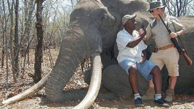 El cazador alemán posa junto a un guía y el elefante considerado como tesoro nacional en Zimbabue.