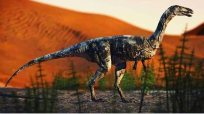 La nueva especie fue nombrada 'Vespersaurus paranaensis'.