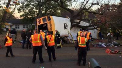 El conductor del autobús sobrevivió al accidente y está colaborando con las autoridades para esclarecer el motivo del siniestro.