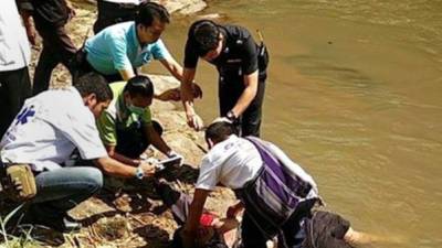 Los Cuerpos de Socorro cuando intentaban salvarle la vida al hombre embestido por el elefante. Foto YouTube.