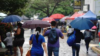 Hondureños se cubren de la lluvia usando paraguas | Fotografía de archivo