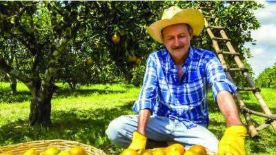 La producción de naranjas en Honduras cayó en los últimos años. Pasando de producir entre 250,000 y 300,000 toneladas métricas a principios de los 2000 a 100,000 en la actualidad.