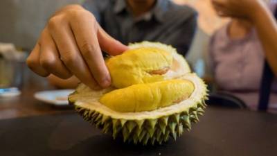 Los durianes son una fruta de un hedor insoportable y un gusto delicioso.