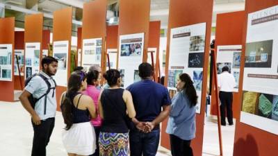 Familias completas han llegado a la exposición, igual que grupos de distintos municipios.