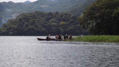 Las acciones van encaminadas a proteger la vegetación que rodea la cuenca y reducir los contaminantes en el lago.