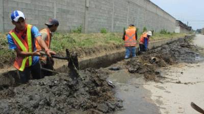 Las cuadrillas municipales han intensificado su trabajo en Chamelecón.