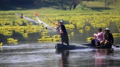 Algunos sampedranos aún pescan en la laguna de Jucutuma.