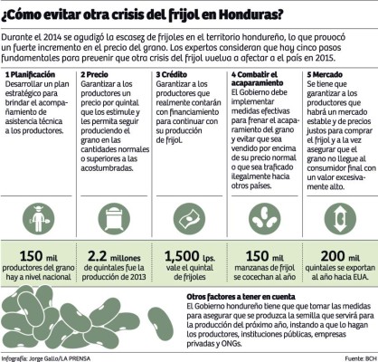 En 300 mil quintales se reduce cosecha de frijol