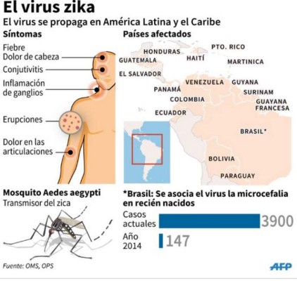 OPS: Zika también se transmite por contacto sexual y sanguíneo