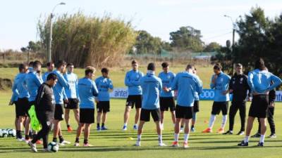 La Selección de Uruguay prosiguió este jueves con sus trabajos preparatorios para la Copa América 2019 en el Complejo Celeste, a la espera que llegue Luis Suárez.