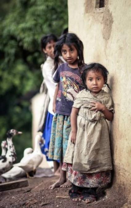 Los tolupanes hablan un conjunto de lenguas estrechamente emparentadas llamadas tol o jicaque, que juntas forman la familia jicaque-tol. Este conjunto de lenguas indígenas se hablan todavía dentro de la actual Honduras. Tratan que los más pequeños no pierdan estas raíces.<br/>