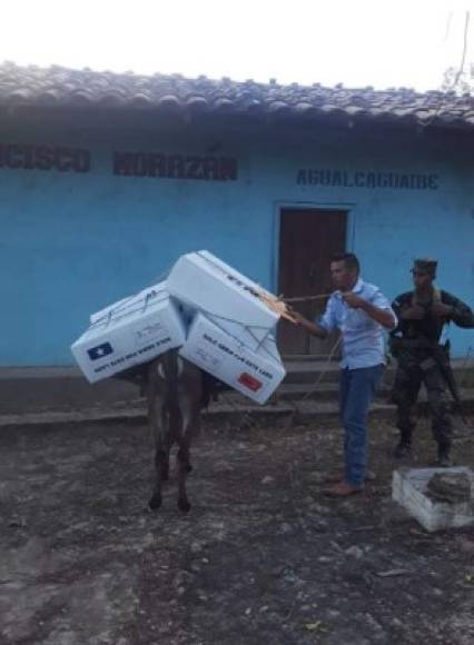 En la remota aldea de Agualcaguaire, Francisco Morazán, este burro lleva las maletas electorales de los tres partidos polítcos de Honduras.