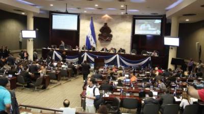 La ley de protección a los animales fue aprobada en la sesión del Congreso del martes.