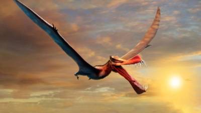 Un grupo de científicos descubrió los restos de un dinosaurio gigante volador.