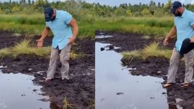 El video no tardó en volverse viral.