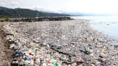 Los desechos están causando un grave daño al ecosistema marítimo de Honduras. Foto: LA PRENSA