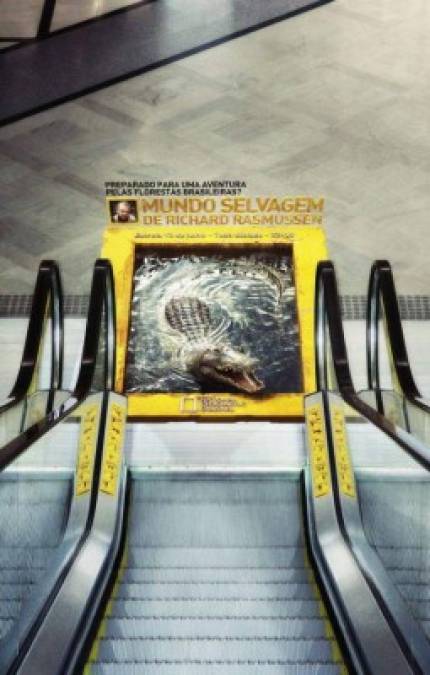 Cocodrilo a la salida de la escalera. Así es el impresionante anuncio de NatGeo.